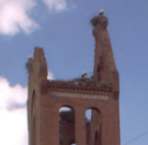Kirchenruine mit 4 Storchennestern